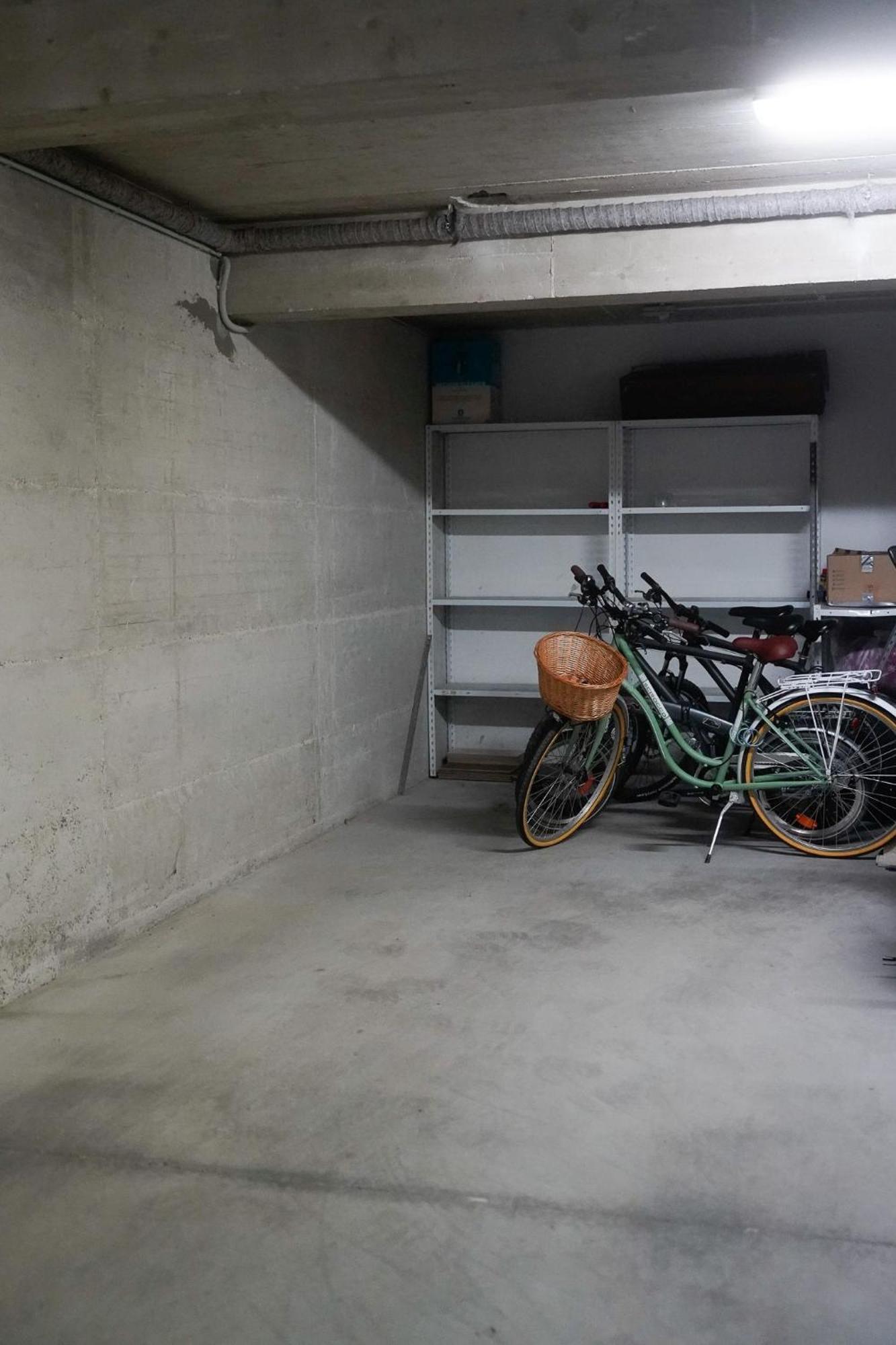 Dandelion Apartment Rovinj-Free Bikes Luaran gambar