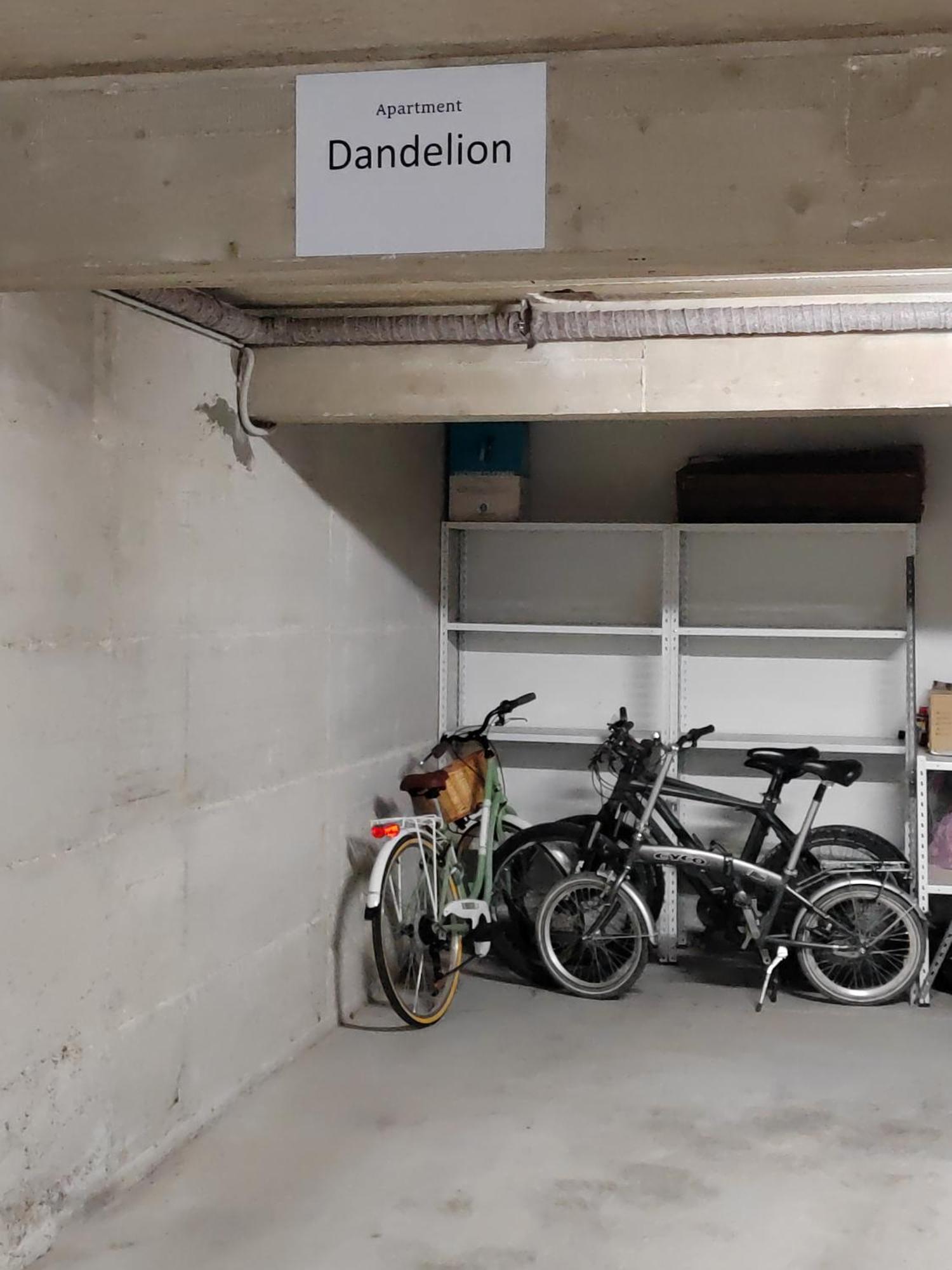 Dandelion Apartment Rovinj-Free Bikes Luaran gambar